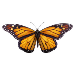 Naklejka premium Vibrant Monarch Butterfly with Detailed Wing Patterns and Colors, isolated on transparent background.