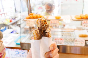 名物料理の鯵の干物の丸揚げ。
一枚200円と非常にお得。
高速道路の近くにある龍宮城風の道の駅。
沼津市、静岡県-2025年3月30日
