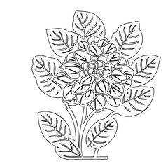 Detailed floral vector illustration with intricate leaf patterns and central blossom