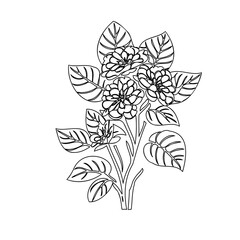 Detailed floral line art illustration with blossoming flowers and intricate leaf patterns