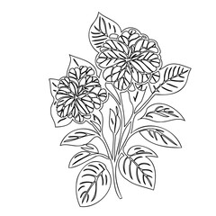 Botanical illustration of stylized floral arrangement in line art, black and white