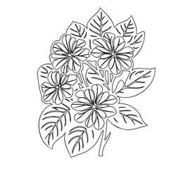 Floral outline illustration showcasing delicate blossoms and layered foliage design