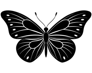 butterfly vector silhouette illustration isolated on white background