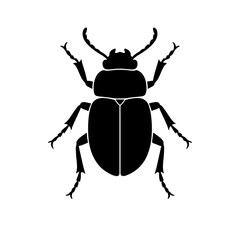 Beetle Silhouette Vector