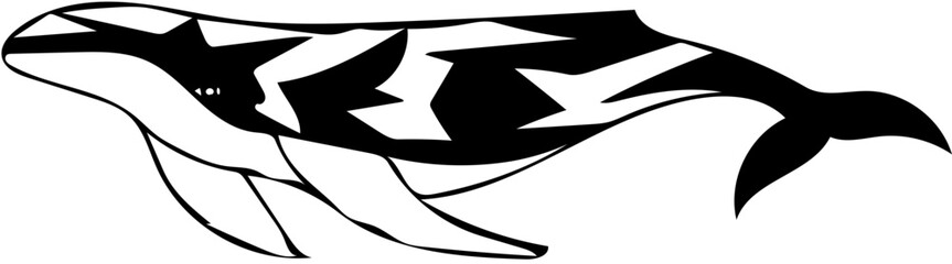 Fototapeta premium Whale 