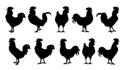 set of chicken silhouette vector on white background