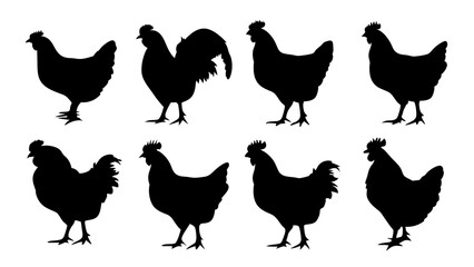 set of chicken silhouette vector on white background