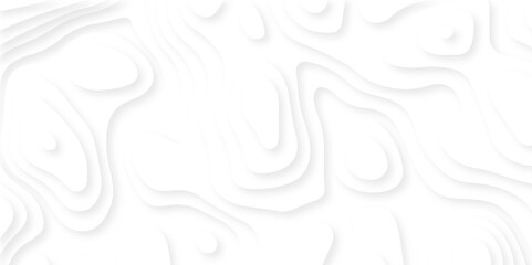 	
Abstract Luxury diamond creative topography map background vector natural shadow papercut web topography map spiral line. white light dynamic smooth 3d papercut texture background.