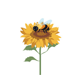 Bee​ on ​sunflower​, white​ background​ . Vector​ ​illustration