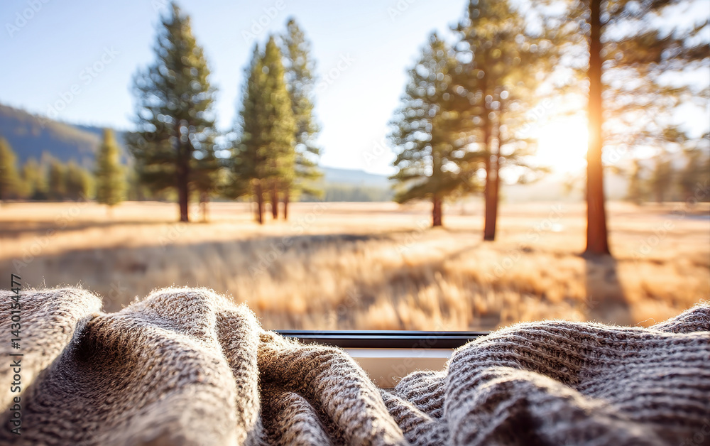 Poster cozy small blanket draped over window sill with beautiful view of sunlit forest and tall trees in ba