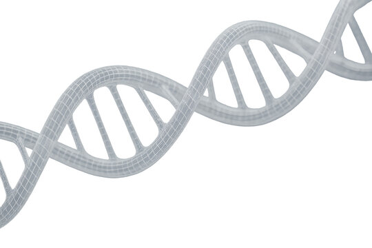 dna strand on white background