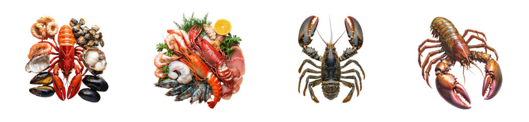 Various seafood types displayed on transparent background