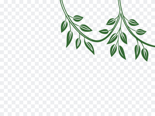 Green leafy vine border design with natural branches hanging from the top, perfect for botanical frames, eco-themed invitations, and nature-inspired graphic projects on transparent backgrounds.