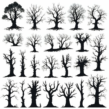 Tree Empty Values Imágenes de