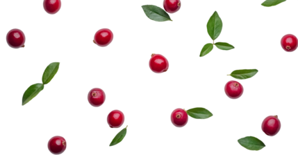 Falling Red Berries and Green Leaves on Transparent Background, PNG