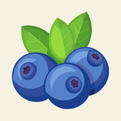 vector illustration of blueberries