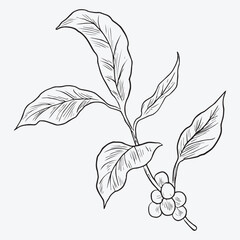 coffee vector template illustration design
