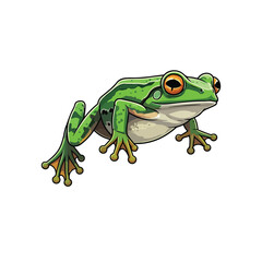 A green frog on white background flat Cartoon adorable frog illustration