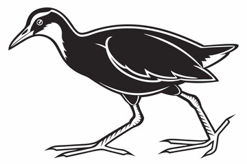 jacana sihouette black vector