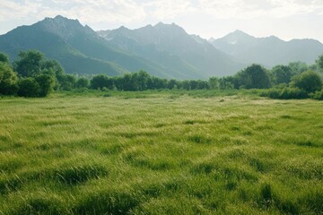 Obraz premium Verdant grassy field and mountains under a slightly cloudy sky