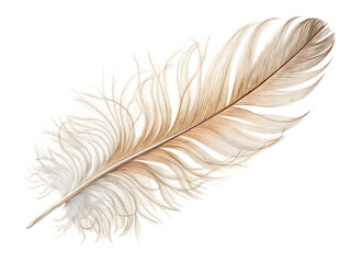 Fototapeta premium white feather isolated on white background. PNG. AI GENERATED
