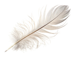 Obraz premium white feather isolated on white background. PNG. AI GENERATED