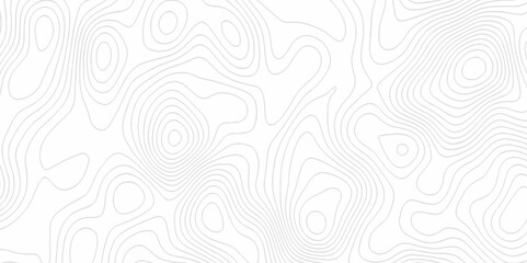 White topography topology vector white background fresh contour map texture. white seamless pattern Abstract background with a wave Topography and geography map grid abstract backdrop.
