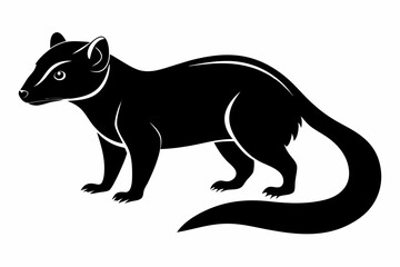 civet sihouette black vector