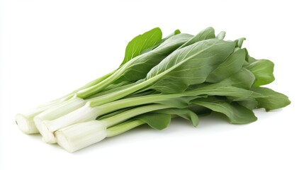 Two heads of fresh Napa cabbage on a white background.