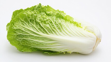 Two heads of fresh Napa cabbage on a white background.