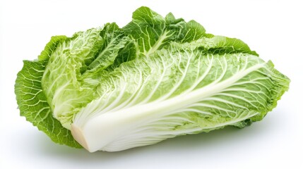 Two heads of fresh Napa cabbage on a white background.