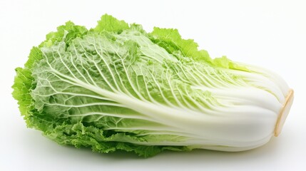 Two heads of fresh Napa cabbage on a white background.
