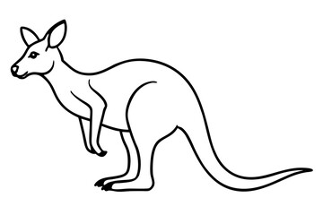 Minimalist Kangaroo Line Art