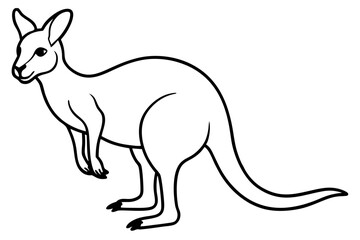 Minimalist Kangaroo Line Art
