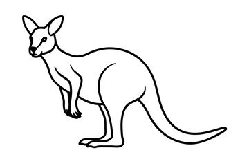 Minimalist Kangaroo Line Art