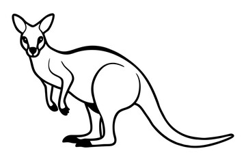 Minimalist Kangaroo Line Art