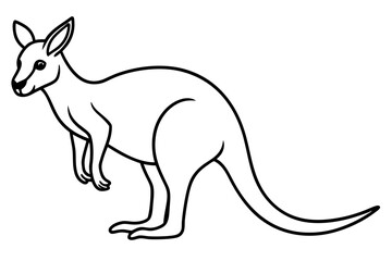 Minimalist Kangaroo Line Art