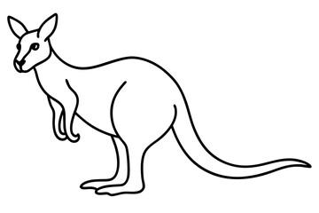 Minimalist Kangaroo Line Art