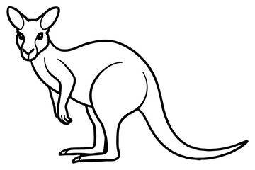 Minimalist Kangaroo Line Art