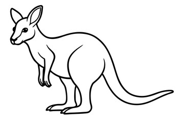 Minimalist Kangaroo Line Art