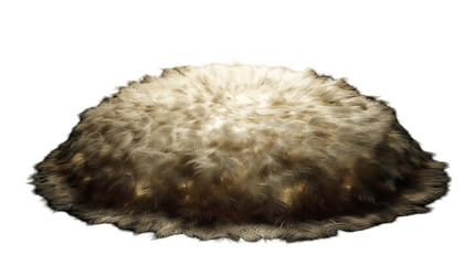 Fluffy animal fur texture for design use. transparent background