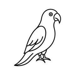 outline of a golden conure
