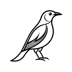 outline of a golden oriole