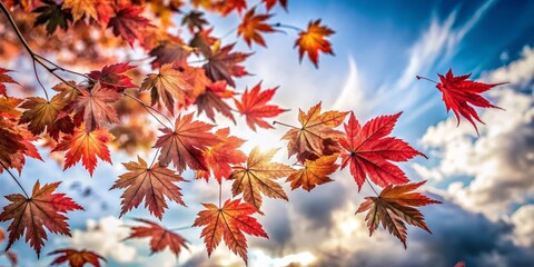 Maple leaves drift gracefully through the air, carried by a soft autumn breeze.