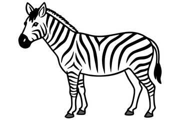 Minimalist Zebra Vector
