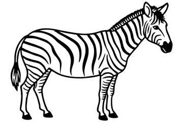 Minimalist Zebra Vector