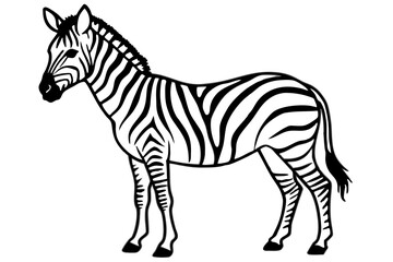 Minimalist Zebra Vector