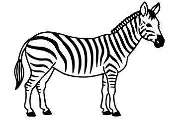 Minimalist Zebra Vector