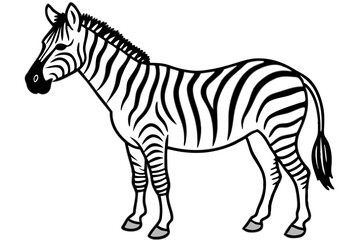 Minimalist Zebra Vector