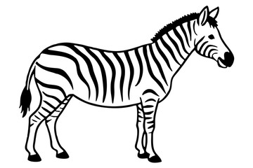 Minimalist Zebra Vector